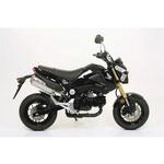 73806A6 HONDA MSX 12513 HOMOL. IPERSPORT ALUMIN IUM SILENCER Gianelli exhaust (ジャネリエキゾースト)