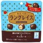 4901360362202 ブルボン ひとくちラングレイス 47gx10 ブルボン