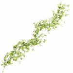 FG007716 レースファーンガーランド MAGIQ(東京堂)