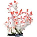 L-4 ZEST レプリカサンゴ ゼンスイ