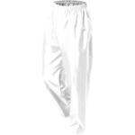 ポリエステルパンツ ホワイト 30枚 トオケミ