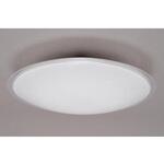 LEDシーリングライト エスコ