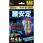 ケアガード腰安定 新生