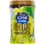 HERSバスラボボトル 白元アース