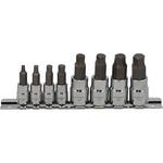 21898 21898 1/4 3/8DR 8PCヘックスボルトリムーバーソケットセット SIGNET(シグネット)