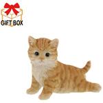 QY-199 きゅうけいベニーズキャット QY-199 紅石