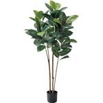 A-50802-051A ラバーツリー(ポット付) アスカ商会