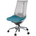 アクトチェア エラストマーバック 肘なし ランバーサポート付 アルミミラー脚 PS張地 ナイロンキャスター<配送時組立サービス付> イトーキ