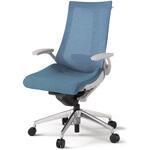 アクトチェア 固定肘 ハンガー ランバーサポート付 アルミミラー脚 メッシュJE ナイロンキャスター<配送時組立サービス付> イトーキ