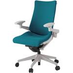 アクトチェア 可動肘 ハンガー ランバーサポートなし 樹脂脚 クロスPS ウレタンキャスター<配送時組立サービス付> イトーキ