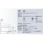 04761047 IG-13接続ケーブル TESA