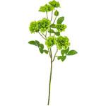 フリルレアローズスプレー 横浜ディスプレイミュージアム