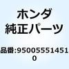 55036056