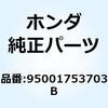 55045664