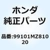 55175304