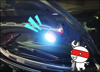 車のボンネットに貼りつけてもOK