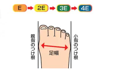靴のサイズ表から足幅を確認