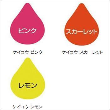 ペンキュア HAKE de PAINT 水性蛍光塗料 ニッペホームプロダクツ
