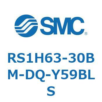 RS1H63-30BM-DQ-Y59BLS nCXgbpV_ (RS1H63-30`) SMC 27493706