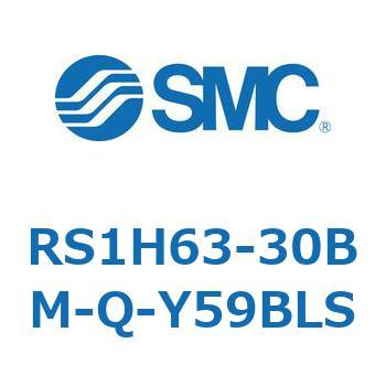 RS1H63-30BM-Q-Y59BLS nCXgbpV_ (RS1H63-30`) SMC 27493864