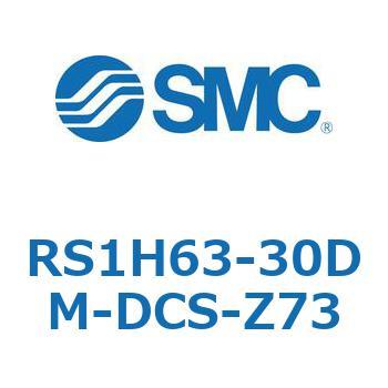 RS1H63-30DM-DCS-Z73 nCXgbpV_ (RS1H63-30`) SMC 27494713