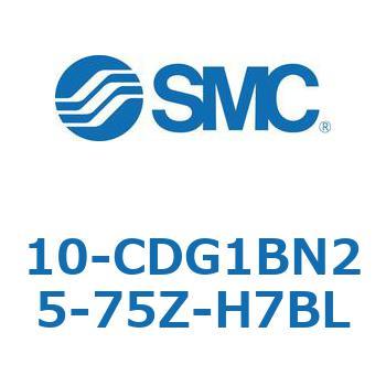 10 Series(10-CDG1) SMC