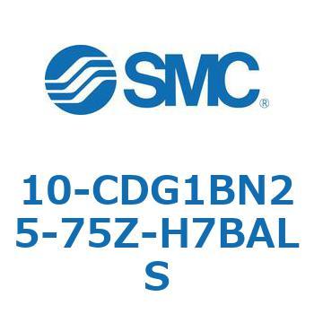 10 Series(10-CDG1) SMC