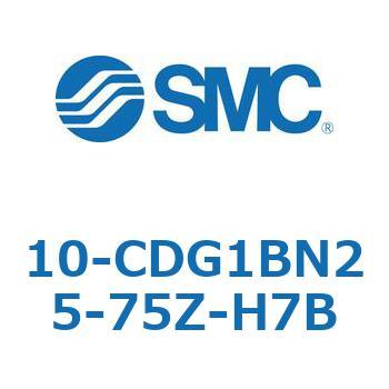 10 Series(10-CDG1) SMC