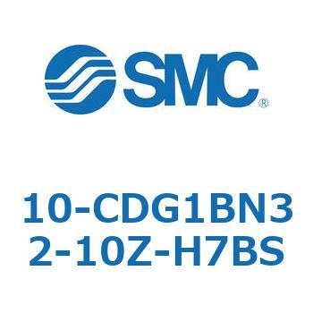 10 Series(10-CDG1) SMC