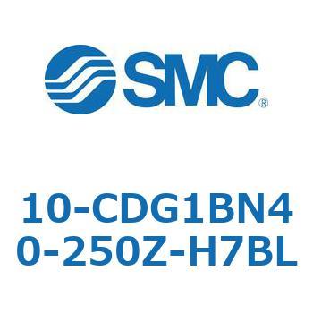 10 Series(10-CDG1) SMC