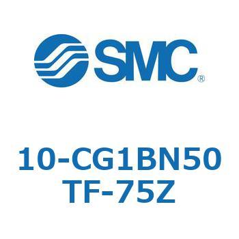 10 Series(10-CG1) SMC