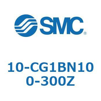 10 Series(10-CG1) SMC