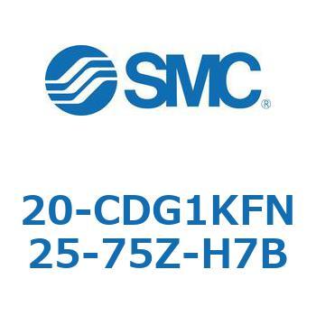 20 Series(20-CDG1) SMC