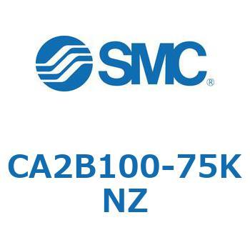 CA Series(CA2B100) SMC