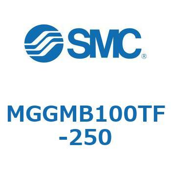 MGGMB100TF-250 MG Series(MGGMB100TF) SMC 複動片ロッド すべり軸受 シリンダストローク250mm