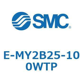 E Series(E-MY2B25) - SMC