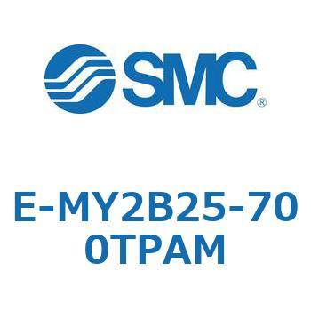 E-MY2B25-700TPAM E Series(E-MY2B25) SMC 39800224