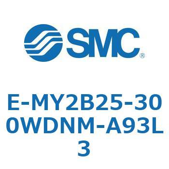 E-MY2B25-300WDNM-A93L3 E Series(E-MY2B25) SMC 39800294