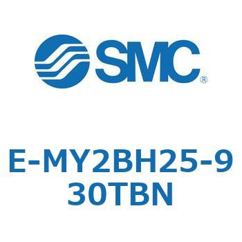 E Series(E-MY2BH25) SMC