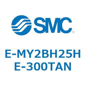 E Series(E-MY2BH25HE) SMC