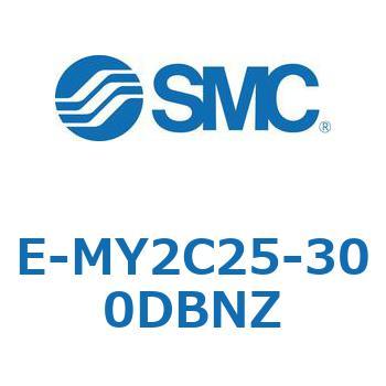 E Series(E-MY2C25) SMC