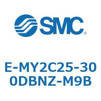 E Series(E-MY2C25) SMC