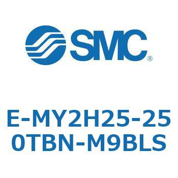 E Series(E-MY2H25) SMC