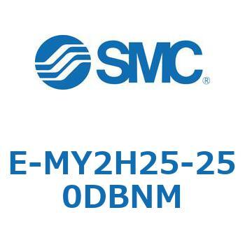 E Series(E-MY2H25) SMC