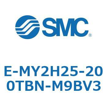 E Series(E-MY2H25) SMC