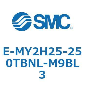 E Series(E-MY2H25) SMC