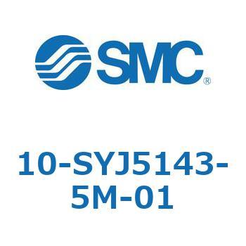 10-SYJ SMC