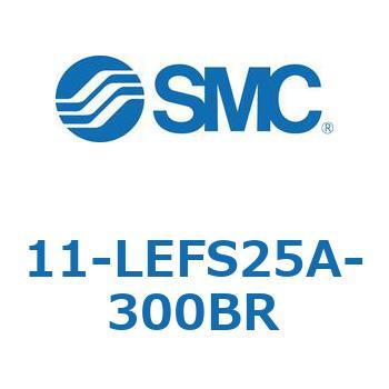 11-LEFS2 SMC