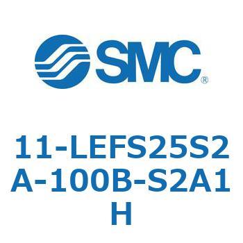 11-LEFS2 SMC