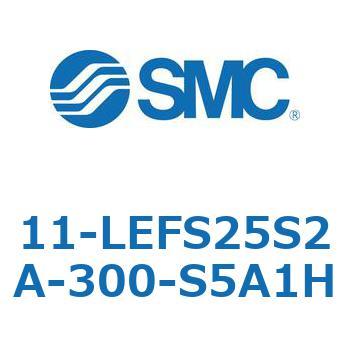11-LEFS2 SMC